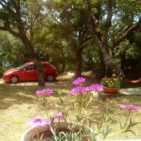 Exquisite Holiday In With Private Garden